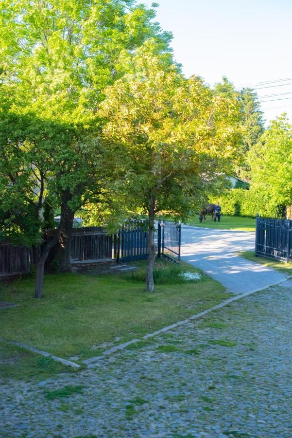 Ferienhaus Brockenblick Βίλα Hüttenrode Εξωτερικό φωτογραφία